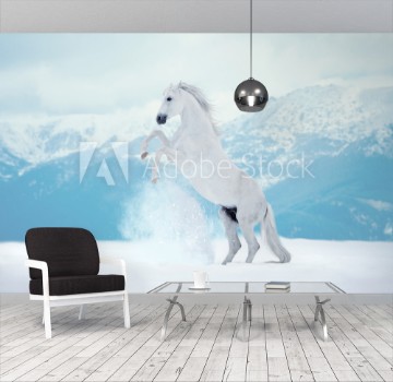 Picture of White reared horse on snow on mountains background
